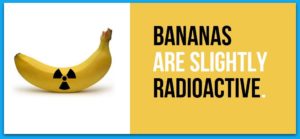 bananas-are-slightly-radioactive